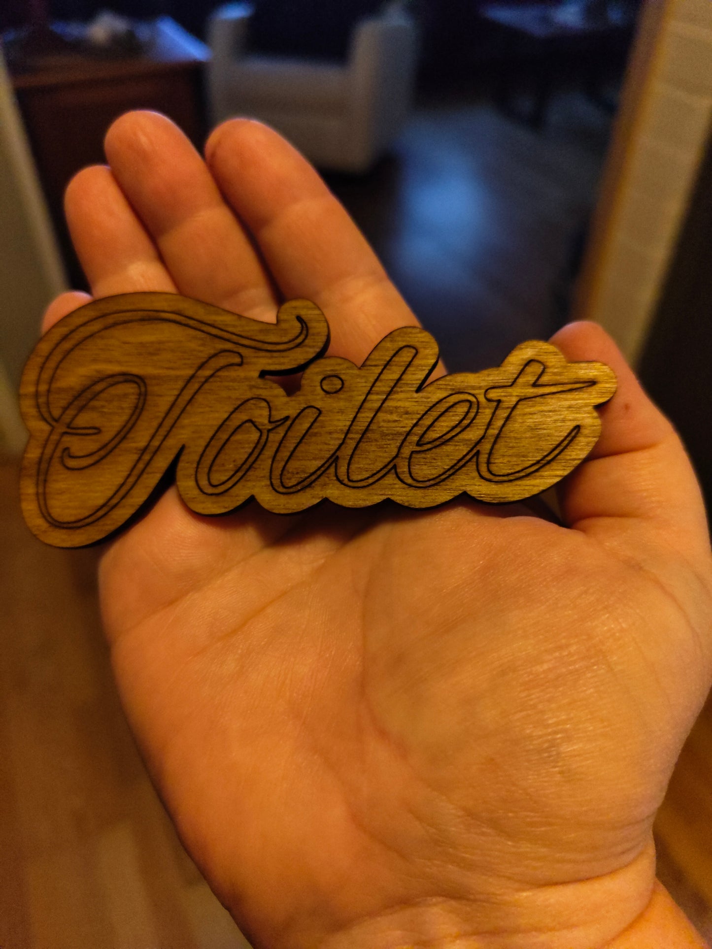 Toilet-kyltti ovikoriste – Valmistettu koivuvanerista