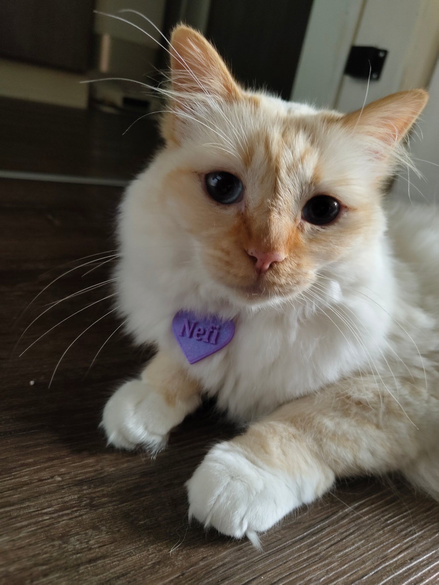 Personalized 3D Printed Heart Tag