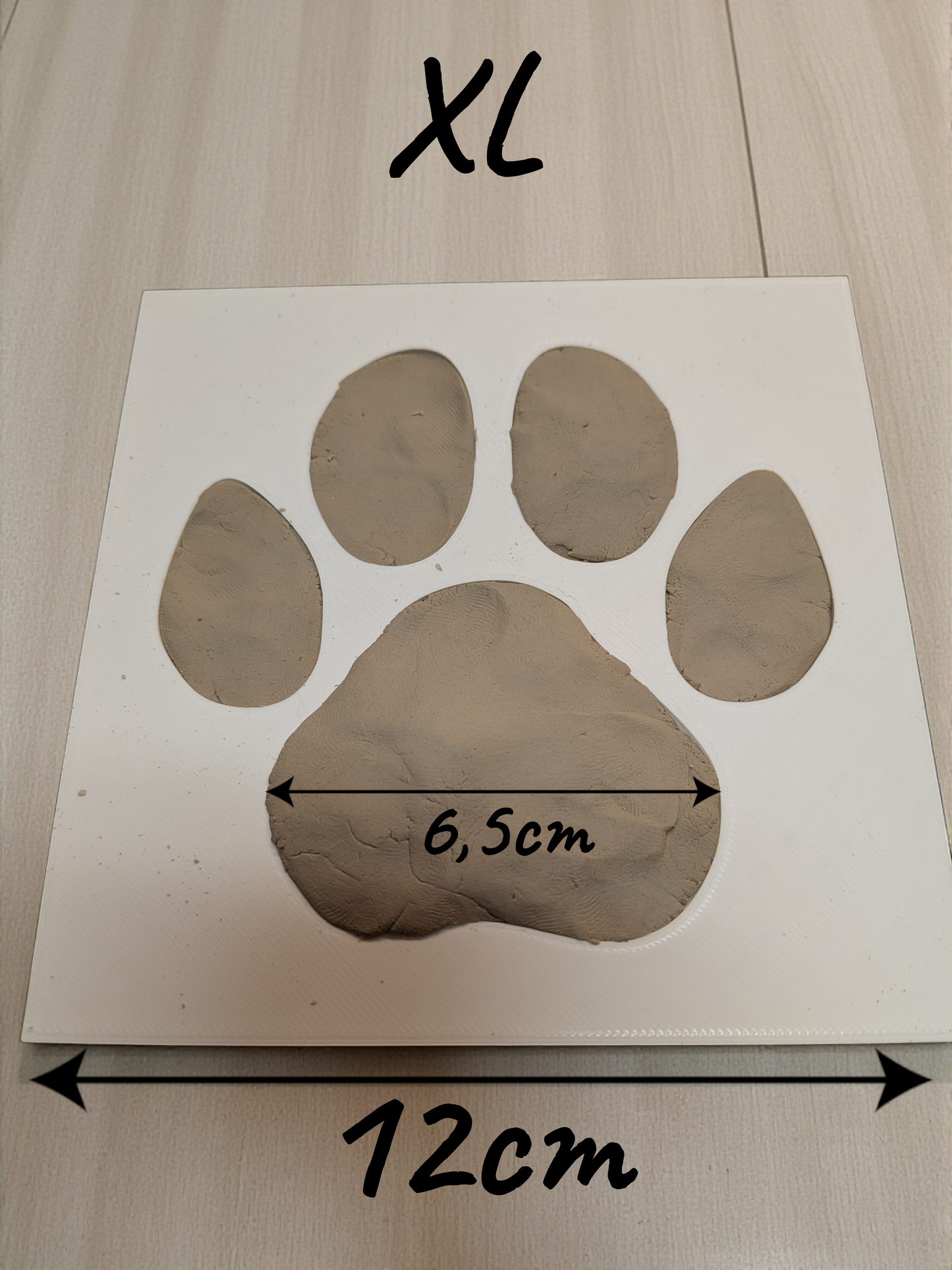 Dog Paw Print Mold