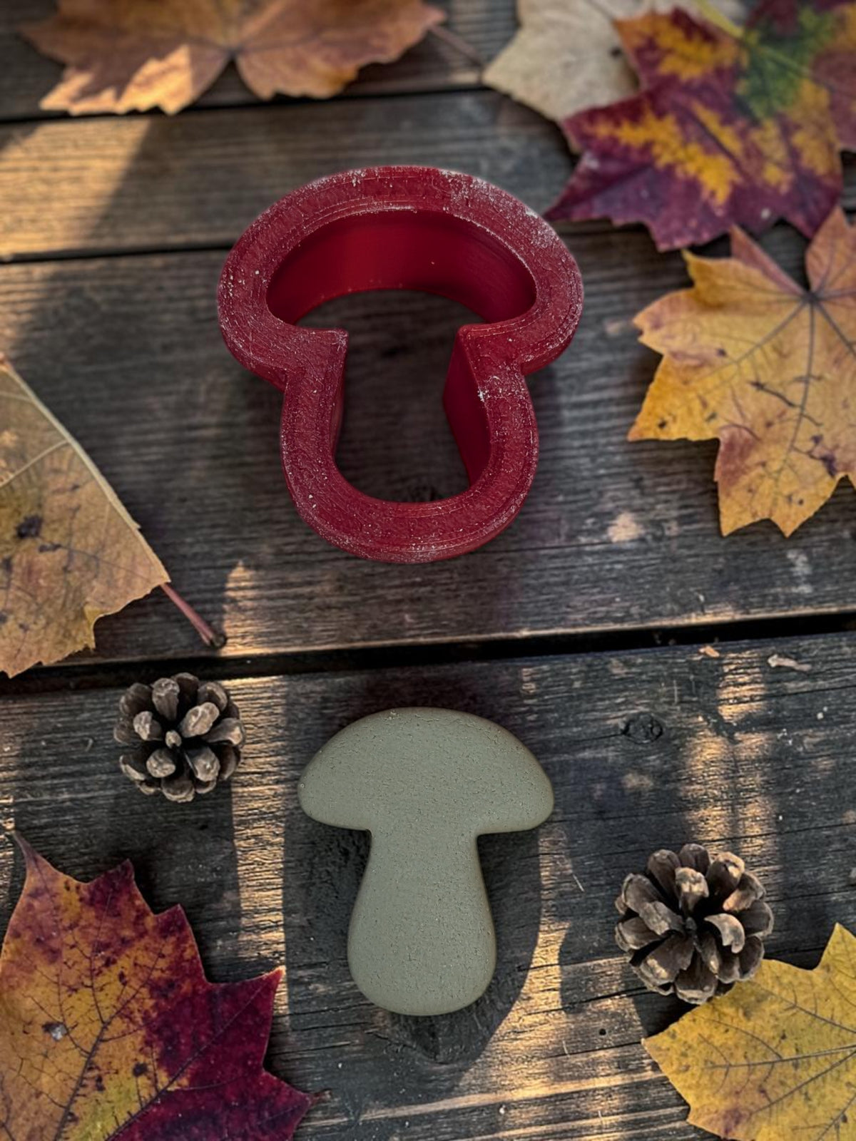 Porcini (Bolete) Mushroom Cutter - Many Sizes
