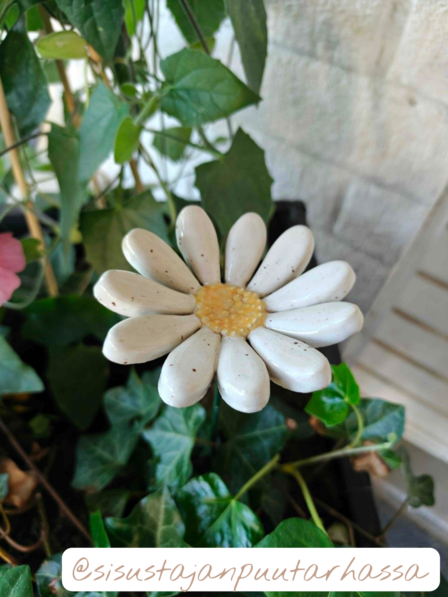 Flower cutters