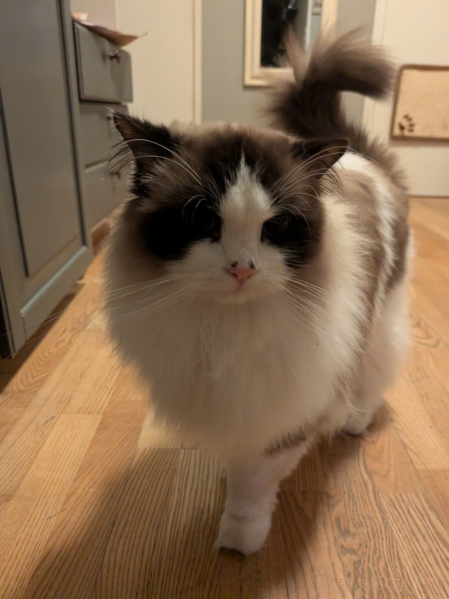 Personoitu  Valokuvavalaisin omasta valokuvasta