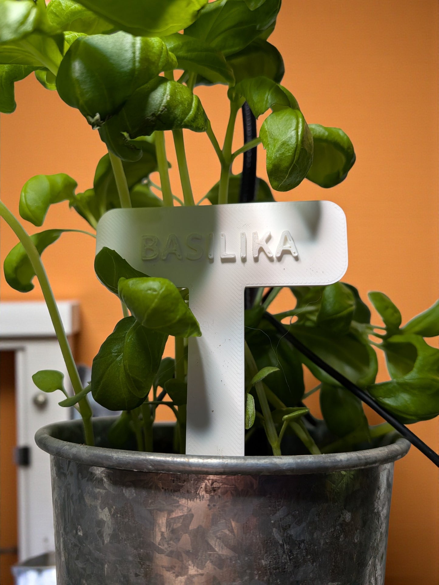🌿 3D-Printed Herb Markers