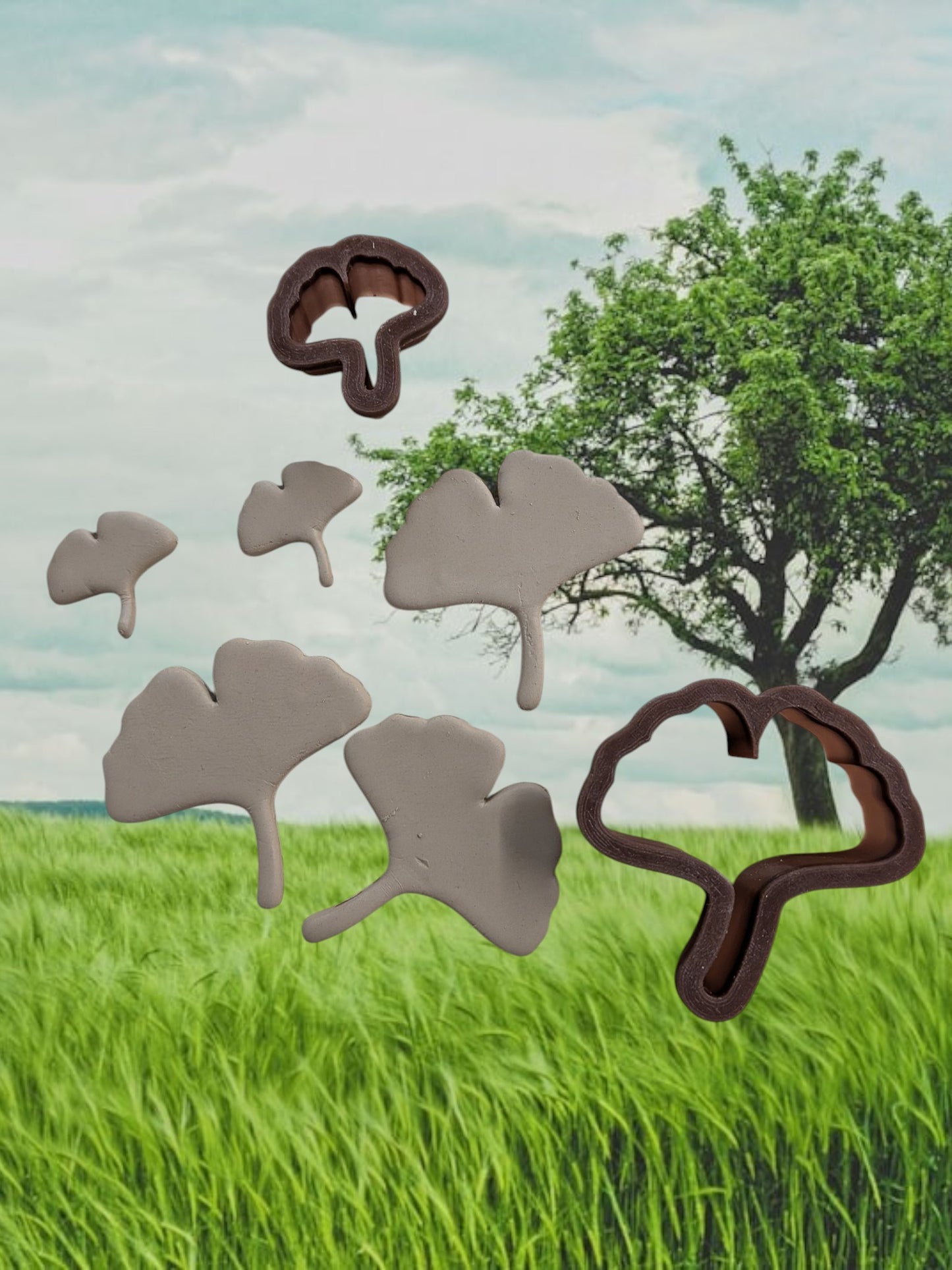 Ginkgo shaped Cutter - Different sizes