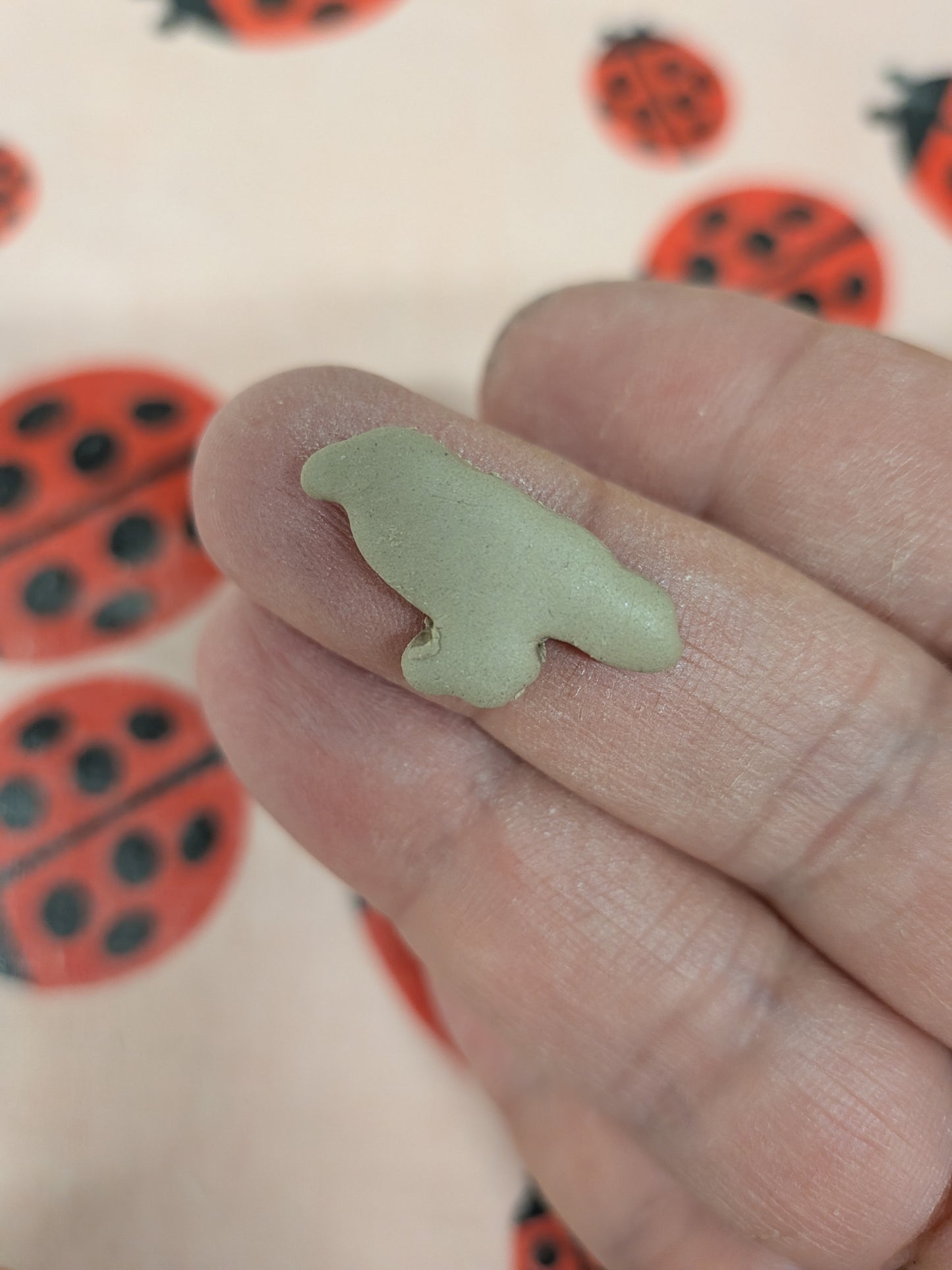 Raven shaped Cutter - Different sizes