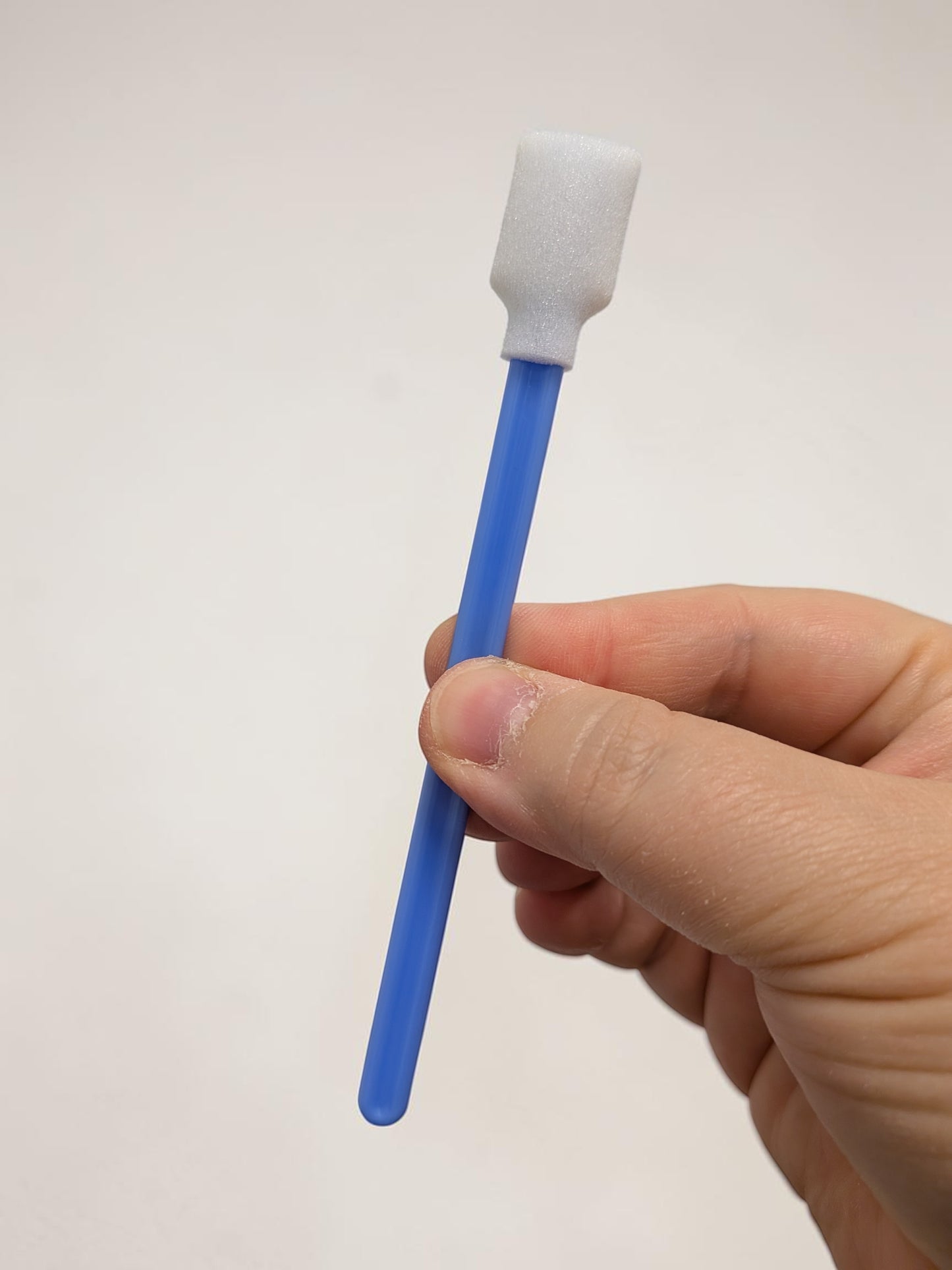 Foam Edge-Smoothing Swabs for Clay & Ceramics – Pack of 5 (Mixed Colours)