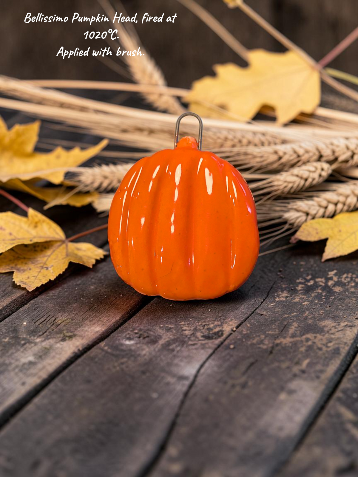 *Wide-range* Bellissimo Pumpkin Head