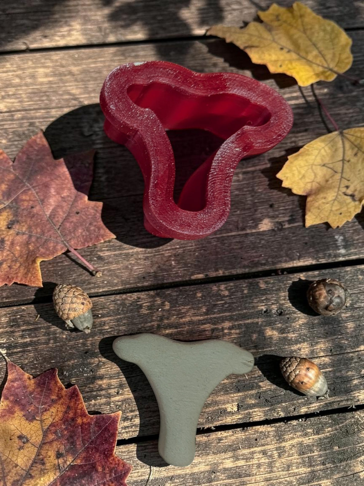 Chanterelle Mushroom Cutter - Many Sizes