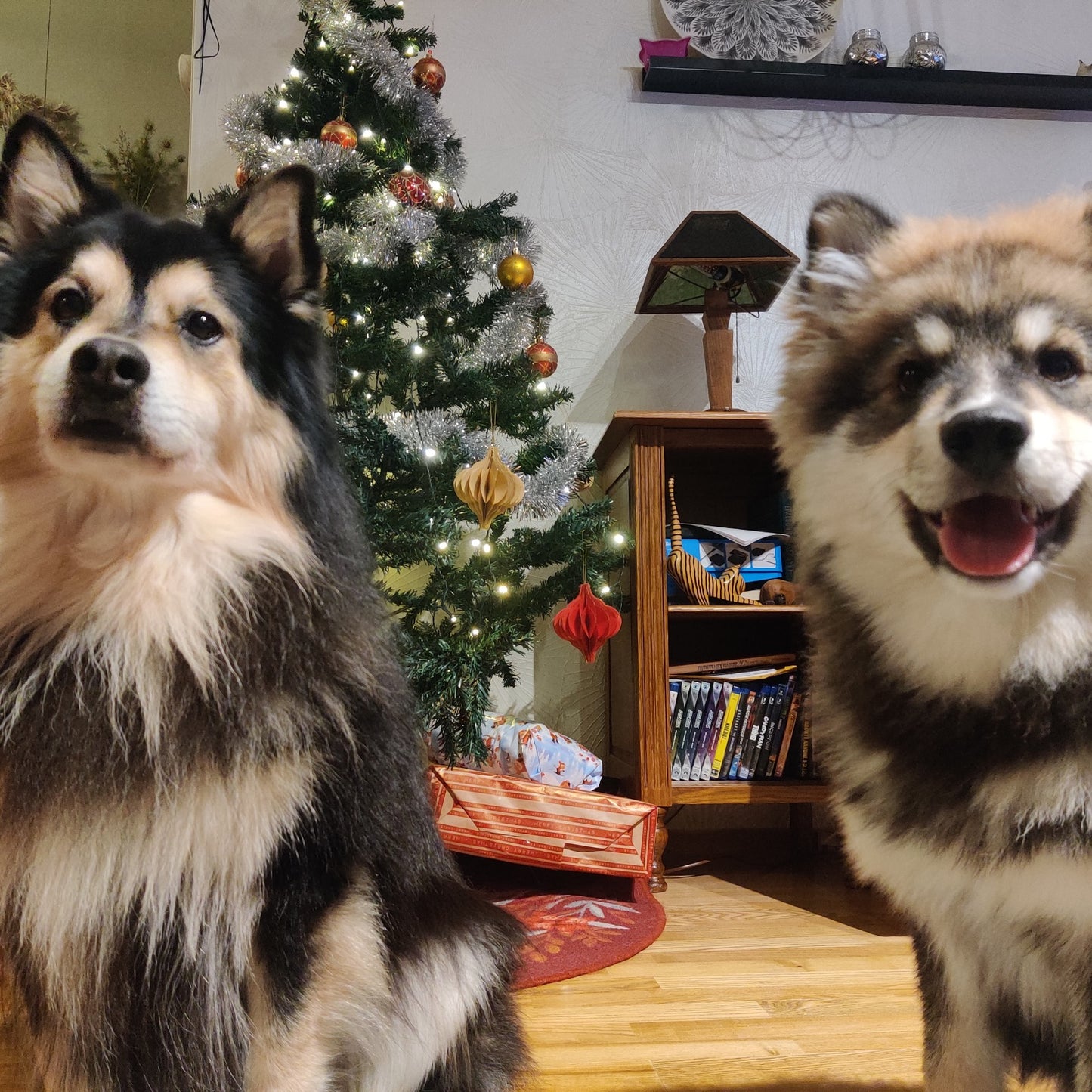 Personoitu  Valokuvavalaisin omasta valokuvasta