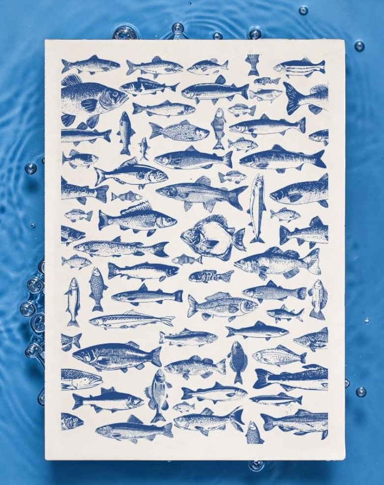 Blue Realistic Fishes Underglaze Transfer Sheet